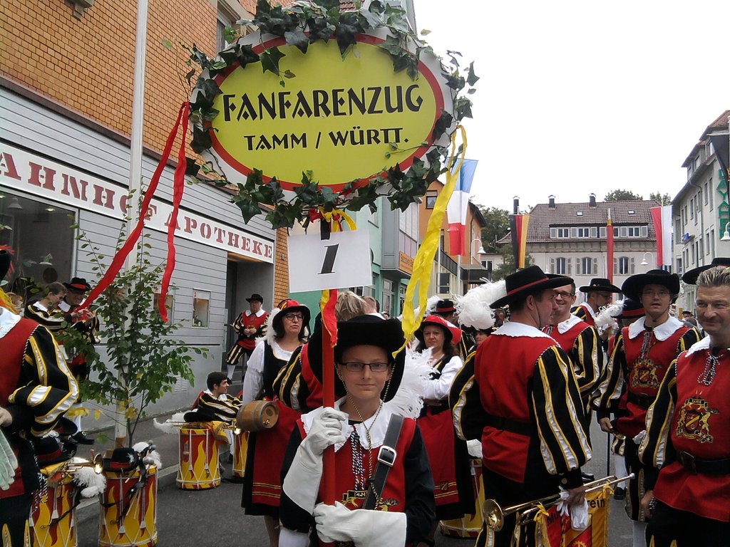 Winzerfestumzug Besigheim