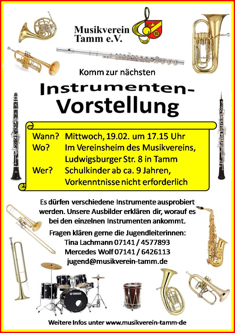 202002 Instrumentenvorstellung Amtsblatt und Homepage